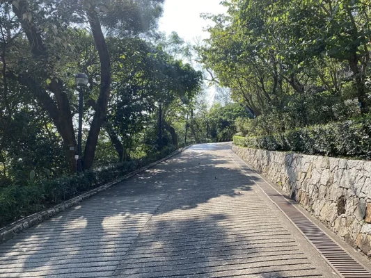 Illustration: How Can Parents Fit 10-Minute HIIT and Tabata Workouts Into a Chaotic Day?