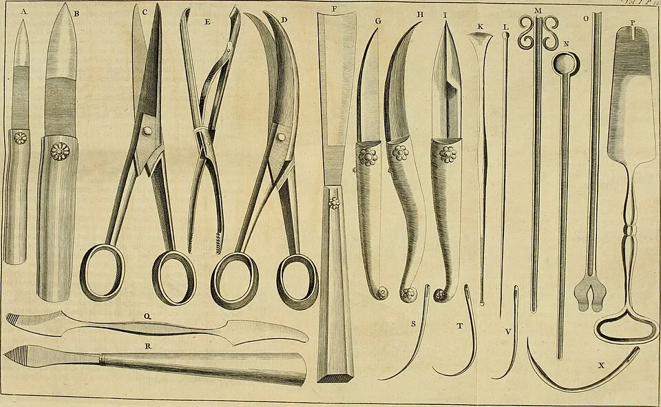 Illustration: Movement and Rehabilitation Strategies for Recovery
