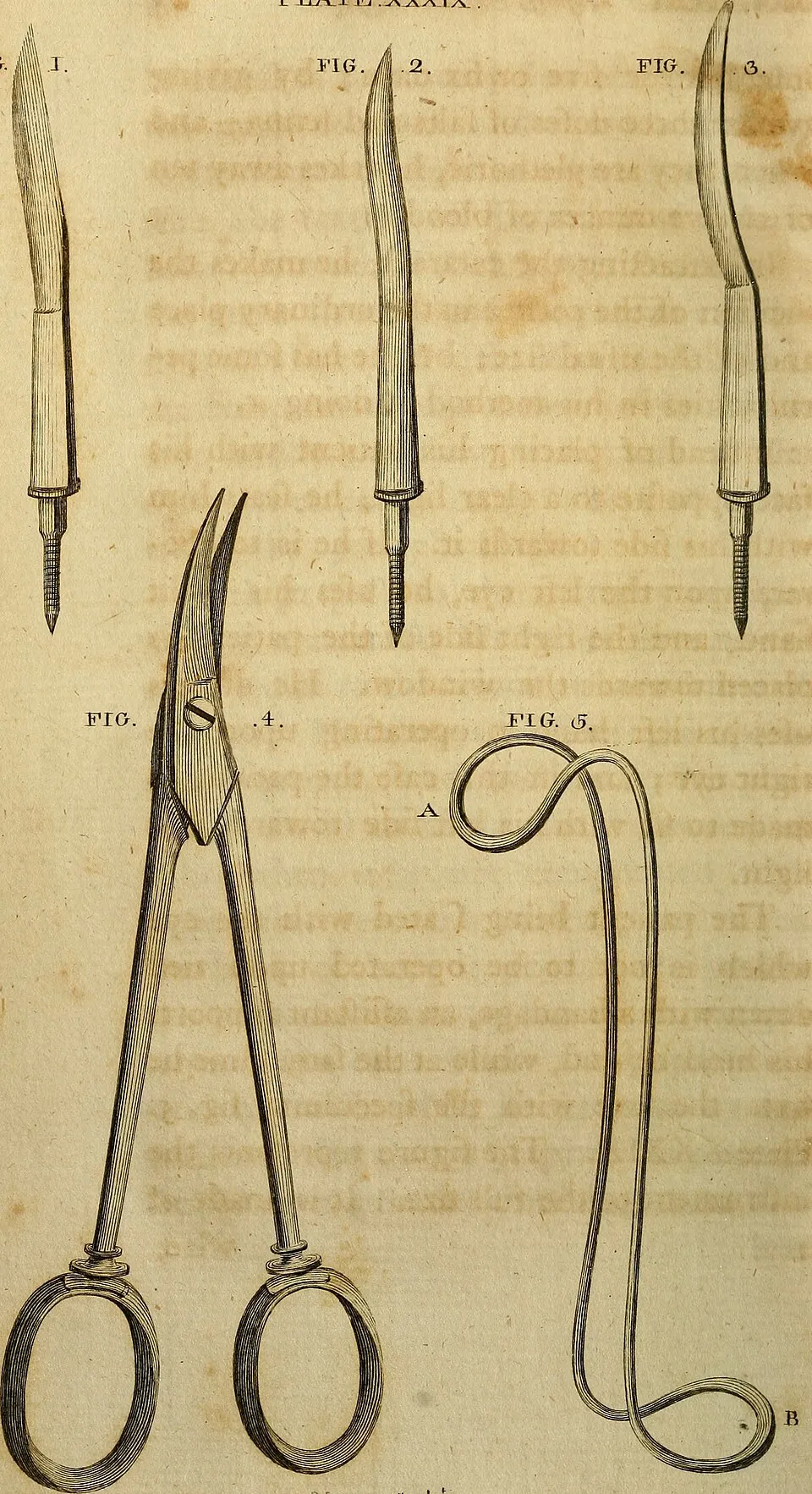 Illustration: Optimal Meal Timing and Frequency for Post-Surgery Recovery