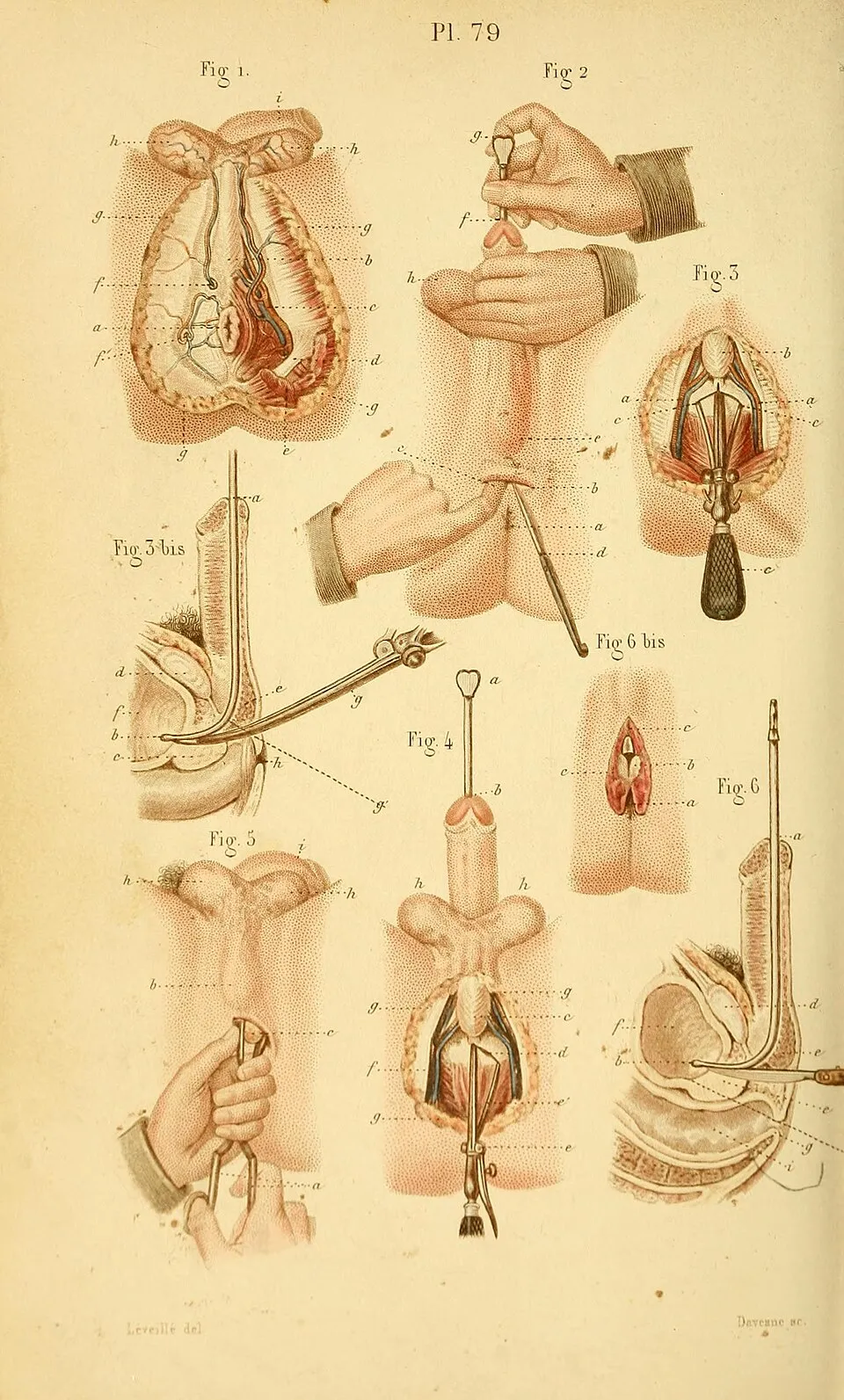 Illustration: The 7 Best Healing Foods After Surgery