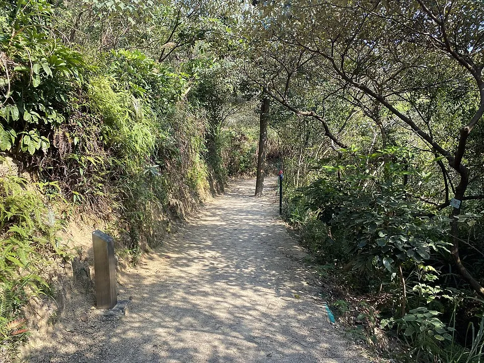 Illustration: Why 5-Minute "Movement Snacks" Beat One Long Weekly Workout for Parent Energy